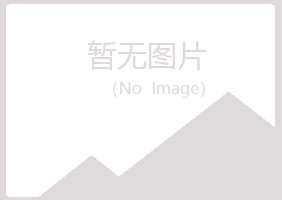 铁山港区白山能源有限公司